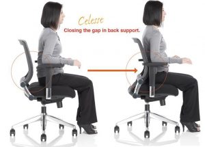 lumbar support for office chair celesse