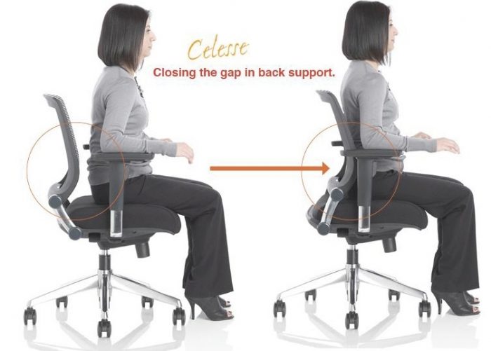 office chair with lumbar support