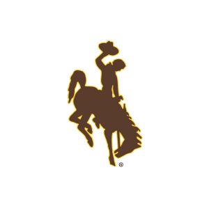 ohio state chair wyoming steamboat logo brown w gold margin x image jpg