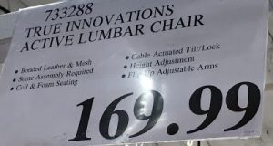 true innovations active lumbar chair true innovations true wellness active lumbar chair costco